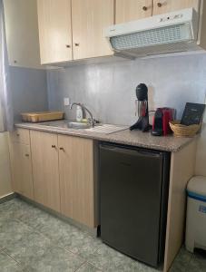 Gallery image of Galini Apartments in Trapezaki