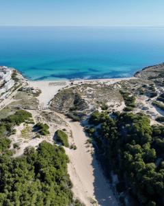 an aerial view of a beach and the ocean at Villa Cala Mesquida in Cala Mesquida