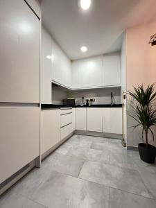 an empty kitchen with white cabinets and a potted plant at Madrid Confort Suites in Madrid