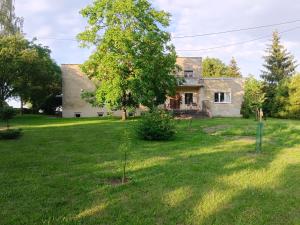 an old house with a tree in the yard at Agroturystyka Słupeczka in Okoleniec