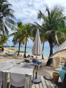 - une plage avec des chaises, un parasol et des palmiers dans l'établissement Studio Beachside Paradise avec citerne tampon- Résidence Manganao, à Saint-François