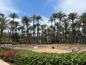 una cancha de baloncesto en un parque con palmeras en Manda Pola, en Santa Pola