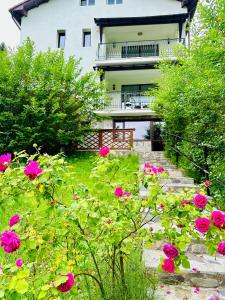 a garden with pink roses in front of a building at Iepurasul Sinaia in Sinaia