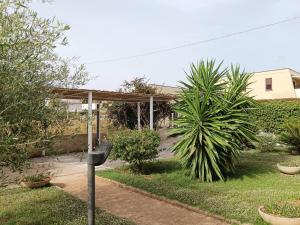 A garden outside Terra dei Plautii