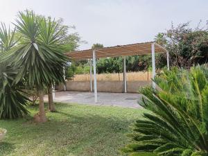 A garden outside Terra dei Plautii