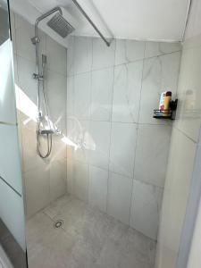 baño con ducha y puerta de cristal en Au calme, parking gratuit,proche centre Thonon les bains, en Allinges