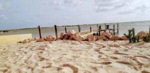 Billede fra billedgalleriet på Beach Houses Kerkennah i Mouamla + 7 billeder