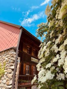 Budova, kde se apartmán nachází + 37 fotografií