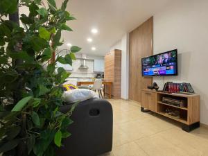 a living room with a large plant and a television at Apartamento entero Viento del Norte in Sarón