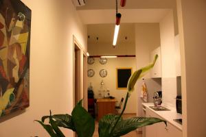 ローマにあるLo Studio Guest Houseの部屋の中に植物のあるキッチン