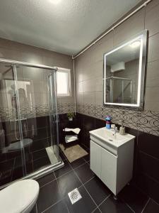 a bathroom with a shower and a sink and a toilet at GreenHill Apartments in Kumanovo +37 photos