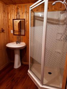 a bathroom with a shower and a sink at l'appartement in Tadoussac +4 photos