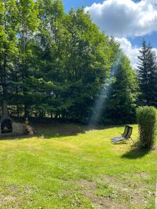 a bench sitting in the grass in a field at Samostatný apartmán se zahradou in Bedřichov