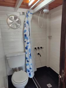a bathroom with a toilet with a blue shower curtain at Tiny House - Los Cedros in Tartagal +4 photos