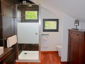 a bathroom with a shower with a toilet and a window at Unusual Hideaway in Lorraine in Métairies-Saint-Quirin