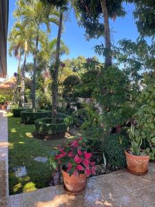 Zahrada ubytování Encantadora Terraza de Brisas Frescas