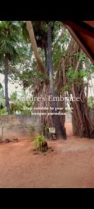 Foto dalla galleria di Cool Banyan Cabana a Trincomalee