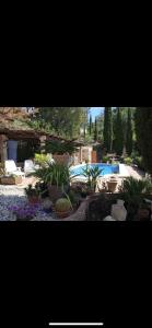 a group of plants in a yard with a swimming pool at Finca vista de la roca in Estepona +4 photos