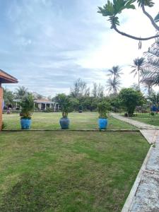 a park with blue planters in the grass at Blue Shell Resort in Mui Ne