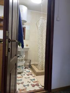 an open door to a bathroom with a shower at Csillag kulcsoshaz in Gheorgheni +81 photos