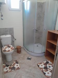 uma casa de banho com duche, WC e tapete em Riverside em Virpazar