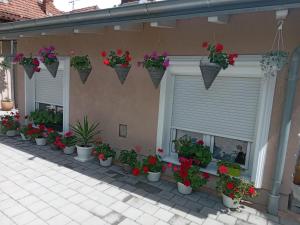 Billede fra billedgalleriet på Apartment-house LaVi i Vrnjačka Banja