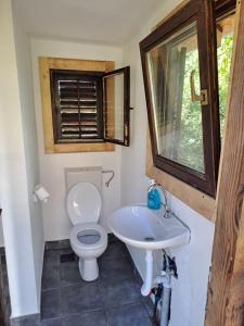 a bathroom with a toilet and a sink at Rtanj hotel sa 1000 zvezdica 2 in Vrmdža