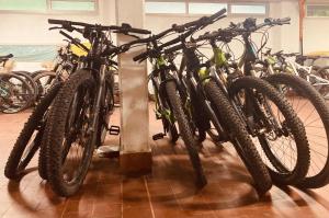 - un groupe de vélos garés l'un à côté de l'autre dans l'établissement Hotel Ghironi, à La Spezia