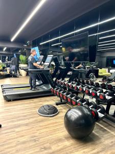 Fitness centrum a/nebo fitness zařízení v ubytování Castle Rhythm Inn