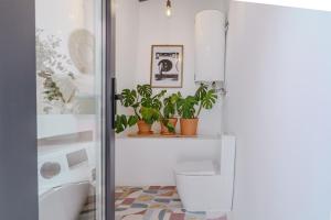 a laundry room with a washing machine and plants at Sunny & Charming Oeiras Historical Center House in Oeiras +44 photos
