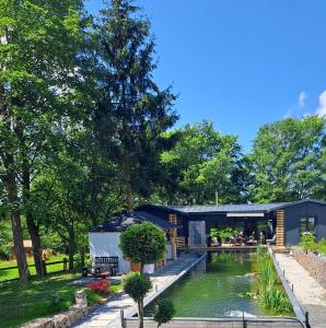 a house with a pond in front of it at Alexa Resort in Borovany