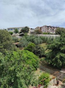 Κήπος έξω από το Casa dei nonni 57021