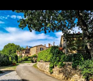 una vieja casa de piedra con un árbol y un camino en Agriturismo Podere Poggiarone, en Rapolano Terme