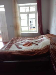 un letto in una camera da letto con finestra di Iamze's Guest House a Mestia