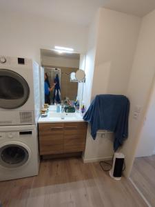 Un baño con lavabo y lavadora. en Appt cosy 2 pièces proche gare, en Templemars