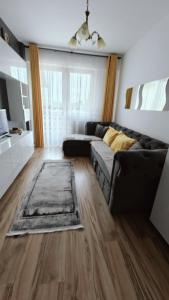 salon z kanapą i dywanem w obiekcie Luxury ap 2 rooms - AB House w mieście Lunca Cetăţuii