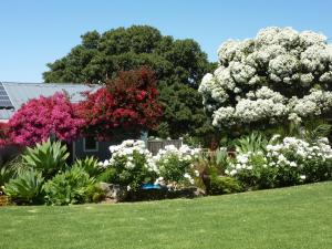 a garden with flowers and plants in front of a house at Marula Lodge in Swellendam