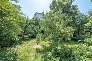 Zahrada ubytování Top Location, Brand New 3 BDRM Apt & Free parking