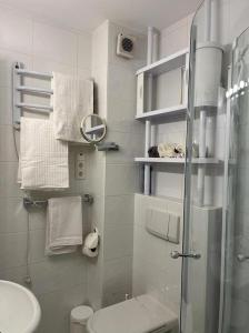 La salle de bains est pourvue d'une douche, de toilettes et de serviettes. dans l'établissement Studio SOPHIE mit Hallenbad und Sauna by MoniCare, à Seefeld in Tirol