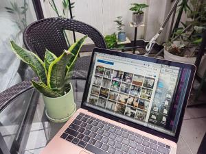 a laptop computer sitting on a table with a potted plant at Shanghai Garden Apartment - Near Downtown Wukang Road in Shanghai