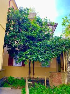 Το κτήριο όπου στεγάζεται  το διαμέρισμα