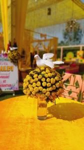 Mad på hotellet eller i nærheden