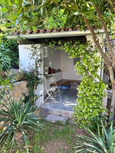 Κήπος έξω από το Steinhaus mit Garten in der Altstadt