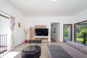 Una sala de estar con un sofá y un televisor. en Villa Benčić by Istrialux, en Rebići