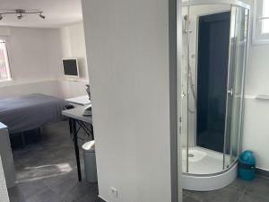 阿尔比Studio5 proche Fac climatisé的带淋浴的浴室和房间里的一张床