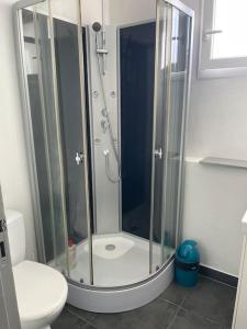 阿尔比Studio5 proche Fac climatisé的带淋浴和卫生间的浴室