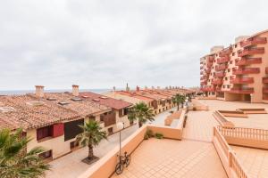 a view of the courtyard of a building with palm trees at Jardin del Mar Primera Linea Mediterráneo 3 dormitorios 2 baños in La Manga del Mar Menor