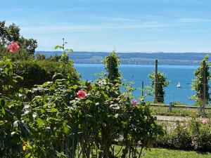 Naturlandskabet i nærheden af lejligheden