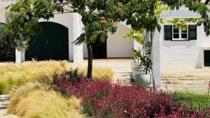 Gallery image of Casa Sabarraca in Sant Lluis