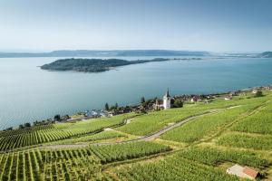 an aerial view of a vineyard and a church next to a lake at Chambre d'hôtes des Rochettes in Cornaux